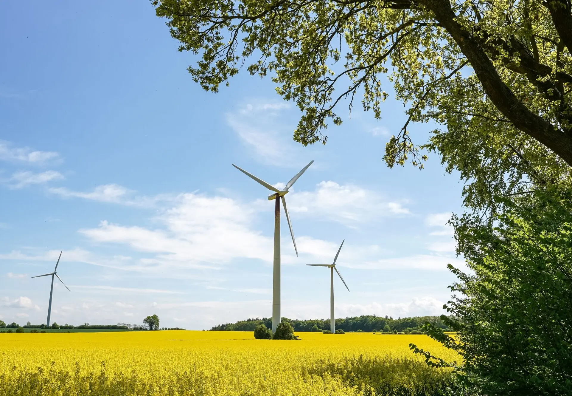 Umwelt- und Klimaschutz